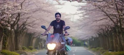 man wearing black shirt on scooter under tree lined street,dhoom,japanese sakura background,takato cherry blossoms,hanami,seenu,motohiro