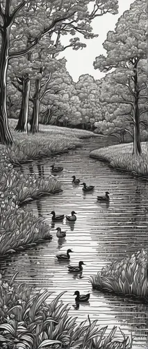 brook landscape,waterfowls,cool woodblock images,waterfowl,wetland,water fowl,wetlands,lilly pond,lily pond,geese,pond,moorhen,swampy landscape,ducks  geese and swans,water birds,mallards,lotus pond,wild ducks,tidal marsh,bird migration,Illustration,Black and White,Black and White 14