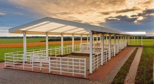 THIS IS MILKING PARLOUR RETAIN ALL PARTS OF BU
ILDING, PUT A DAIRY FARMER
,prefabricated buildings,cowshed,pergola,bus shelters,equestrian center,pop up gazebo,termales balneario santa rosa,moveable b