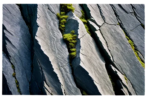 basalt columns,beech leaf,crevasse,beech leaves,leaf veins,plant veins,dolerite rock,tree bark,basalt,strata,cliff face,rock forms,rock samphire,jagged,outcrop,rock formations,braided river,beech hedge,nettle leaves,seaweeds,Photography,Fashion Photography,Fashion Photography 19