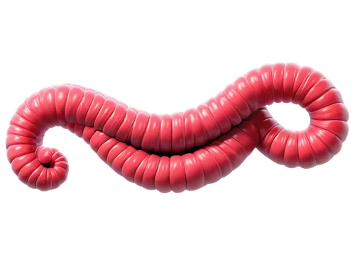 Colon photo, human internal organ, 3D illustration, detailed texture, realistic structure, vibrant colors, soft lighting, 45-degree angle, close-up shot, shallow depth of field, high contrast, cinemat