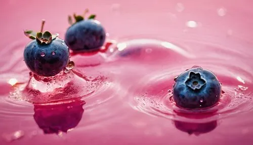 refreshing, vibrant glowing 3 blueberries, floating in the water, macro photography, dew drops, pink lighting, glitters in the water, refreshing , in the style of a product hero shot in motion, dynami