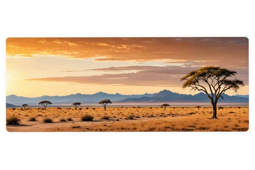 Savannah landscape, vast open plain, acacia trees, golden sunset, warm lighting, distant mountains, few fluffy clouds, dry earthy ground, rocky outcrops, 3/4 composition, shallow depth of field, cinem