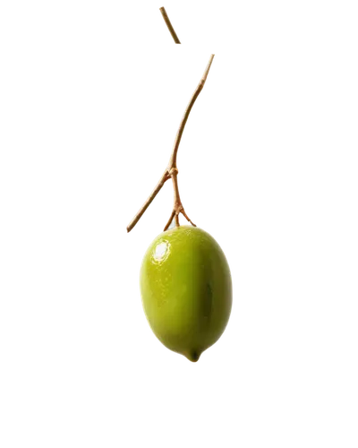 Olive green, vibrant color, small fruit, rounded shape, slight stem, glossy surface, detailed texture, 3/4 composition, close-up shot, shallow depth of field, soft natural light, realistic rendering.,