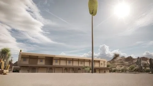 padang pasir, realistic and HD,desert palm,desert plant,organ pipe cactus,giant palm tree,yucca palm,eco hotel,ocotillo,desert plants,dunes house,palm springs,palmtree,palm tree,giant yucca,sonoran de