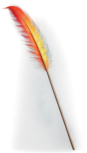 hawk feather,chicken feather,feather,peacock feather,bird feather,feather bristle grass,pigeon feather,feather pen,black feather,swan feather,plumes,feather jewelry,feather headdress,feather on water,white feather,bird of paradise,plume,color feathers,raven's feather,parrot feathers,Illustration,Paper based,Paper Based 15