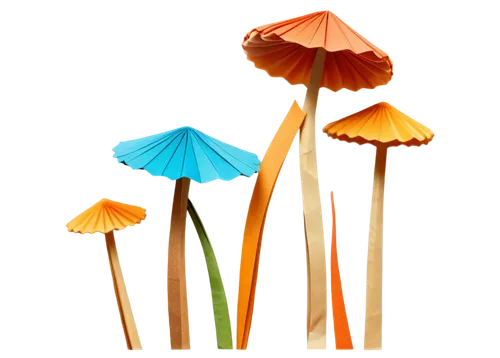 parasols,summer beach umbrellas,umbrellas,marasmius,mycena,umbrella mushrooms,japanese umbrellas,fairy lanterns,summer umbrella,conocybe,thatch umbrellas,parasol,coprinus,clitocybe,mushroom landscape,hygrocybe,beach umbrella,overhead umbrella,agarics,cocktail umbrella,Unique,Paper Cuts,Paper Cuts 02