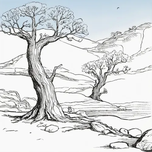 argan trees,argan tree,birch tree illustration,arid landscape,tree and roots,walnut trees,isolated tree,dry branch,bare tree,oak tree,bare trees,flourishing tree,the roots of trees,almond trees,a tree,trees with stitching,old tree,small tree,the branches of the tree,old gnarled oak,Illustration,Black and White,Black and White 29