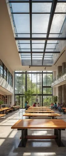 glass roof,atriums,school design,cupertino,atrium,school benches,cafeteria,daylighting,folding roof,akademie,skylights,aqua studio,ucd,lecture hall,inside courtyard,modern office,oberlin,university library,dojo,langara,Illustration,Realistic Fantasy,Realistic Fantasy 28