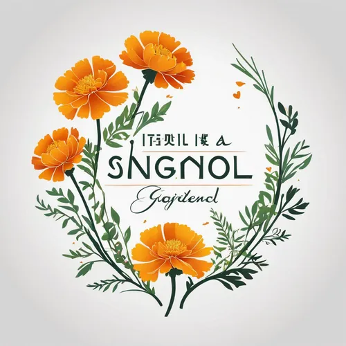 english marigold,marigold flower,tagetes flower,flowers png,cinquefoil,sơnla,the garden marigold,single flower,single flowers,tagetes patula,garden marigold,orange marigold,marigold,floral digital background,tagetes,tropical floral background,syringa,floral greeting card,marigolds,mandala flower illustration,Unique,Design,Logo Design