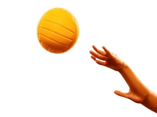 volleyball,vector ball,length ball,corner ball,wooden ball,ball,volley,treibball,erball,soi ball,throwing a ball,basketball,wallball,wall & ball sports,wallyball,sports toy,beach basketball,spirit ball,rugby ball,kin-ball,Art,Classical Oil Painting,Classical Oil Painting 41