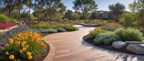 landscape designers sydney,landscape design sydney,garden design sydney,landscaped,nature garden,xeriscaping,flowerbeds,perennial plants,landscaping,wooden decking,streambeds,climbing garden,flower borders,jardin,garden of plants,3d rendering,landscape plan,biopiracy,ornamental plants,xerfi,Illustration,Paper based,Paper Based 23