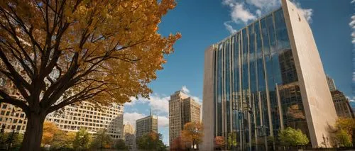 peachtree,highmark,marunouchi,financial district,fall foliage,temple square,minneapolis,business district,rencen,costanera center,the trees in the fall,ohsu,pgh,metrotech,commerzbank,office buildings,citycenter,autumn in the park,bunshaft,benaroya,Photography,General,Cinematic