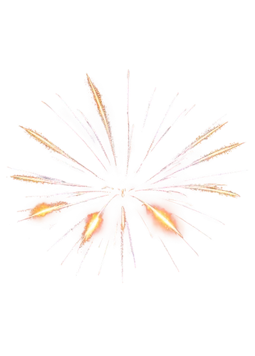 fireworks background,pyrotechnic,fireworks,firework,fireworks rockets,fireworks art,shower of sparks,flying sparks,pyrotechnics,netburst,airburst,sparks,sparkler,firecrackers,pyromania,sparklers,diwali background,explode,sunburst background,new year vector,Illustration,Realistic Fantasy,Realistic Fantasy 03