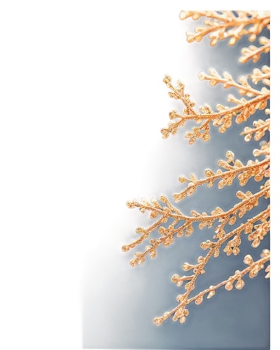 sporophyte,sporophytes,background bokeh,coral fungus,bokeh,bokeh effect,dendrites,spinosum,cinema 4d,bokeh lights,panicle,snowflake background,soft coral,light fractal,poaceae,hydroids,ornamental grass,fractal environment,gorgonian,square bokeh,Conceptual Art,Oil color,Oil Color 05