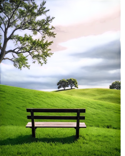 bench,park bench,landscape background,wooden bench,benches,nature background,background view nature,cartoon video game background,3d background,red bench,garden bench,man on a bench,bench by the sea,chair in field,stone bench,photographic background,wood bench,bench chair,photo art,landscape nature,Illustration,Black and White,Black and White 01