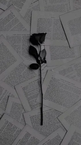 bookmark with flowers,paper rose,paper flower background,paper roses,burnt pages,paper flowers,crumpled paper,love letters,book pages,paper and ribbon,fallen flower,poems,paper background,read-only memory,turn the page,pages,love letter,empty paper,wrinkled paper,paper art