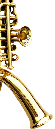 gold trumpet,saxhorn,saxophone,trumpet gold,flugelhorn,brass instrument,tenor saxophone,fanfare horn,sousaphone,tuba,trumpet,trumpeter,trumpet valve,saxophonist,tubas,instrument,baritone,instrument trumpet,musical instrument,mellophone,Illustration,Black and White,Black and White 03