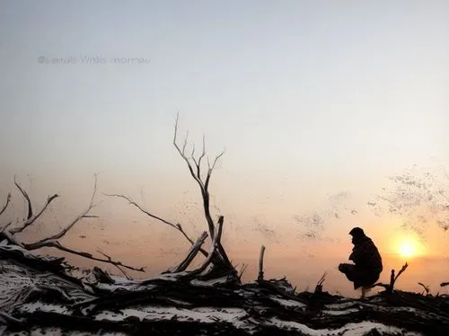 conceptual photography,cd cover,silhouette of man,photomanipulation,art photography,solitude,bodhi tree,still transience of life,photo manipulation,by chaitanya k,scorched earth,landscape photography,