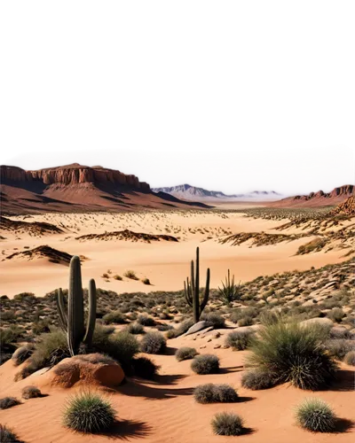 desert desert landscape,desert landscape,arid landscape,desert background,libyan desert,capture desert,desert,the desert,argentina desert,arid land,arid,desertification,desert plant,desert plants,dune landscape,namib desert,mojave,flowerful desert,landscapre desert safari,sahara desert,Art,Artistic Painting,Artistic Painting 01