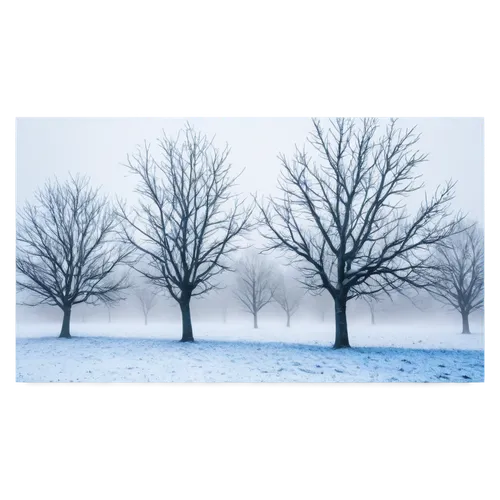 snow trees,walnut trees,winter background,treemsnow,hoarfrost,bare trees,chestnut trees,row of trees,winter tree,winter landscape,deciduous trees,birch tree background,beech trees,wintry,snow landscape,winter forest,halloween bare trees,fruit trees,snow scene,snow tree,Art,Classical Oil Painting,Classical Oil Painting 22