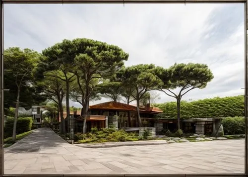 villa cortine palace,aventine hill,landscape designers sydney,landscape design sydney,villa borghese,casa fuster hotel,appia,villa balbiano,bendemeer estates,villa balbianello,roof landscape,botanical