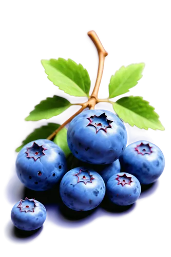 Blueberry, fruit, small size, round shape, plump, juicy, sweet, purple-blue skin, green calyx, detailed texture, soft focus, shallow depth of field, warm lighting, close-up shot, 1/2 composition.,a bl