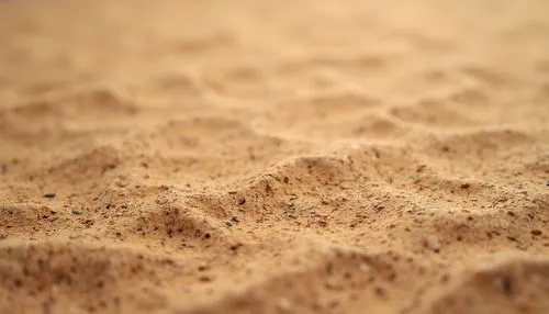 sand texture,sand pattern,sand seamless,sand colored,sand,sand waves,sand board,wooden background,sand ripples,sandplain,sand paths,wood background,woodchip,sand dune,sandplains,wood chips,sand dunes,sawdust,wood texture,tracks in the sand,Photography,General,Realistic