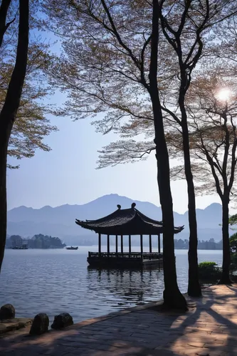 lake tanuki,sayama lake,daecheong lake,miyajima,golden pavilion,the golden pavilion,lugu lake,lantau island,japan's three great night views,shimane peninsula,japan landscape,nara park,beautiful japan,theatrical scenery,shinto shrine,west lake,淡島神社,south korea,danyang eight scenic,shizuoka prefecture,Photography,Documentary Photography,Documentary Photography 14