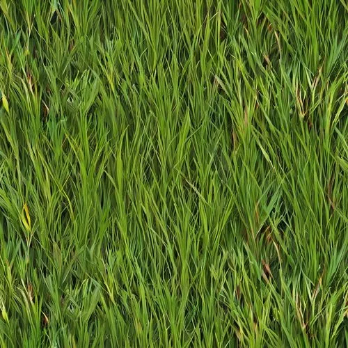 block of grass,zoysia,grass,green wallpaper,grass lily,grass blades,grass grasses,gras,wheat grass,blade of grass,grassman,green lawn,green grass,lawn,paspalum,frog background,blades of grass,grassy,cordgrass,grasslike,Illustration,Abstract Fantasy,Abstract Fantasy 10