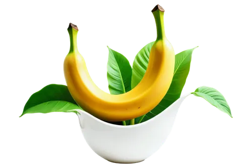 banana plant,banana tree,banana,saba banana,banana flower,banana peel,bananas,nanas,monkey banana,ripe bananas,ylang-ylang,banana cue,banana trees,dolphin bananas,star fruit,banana apple,yellow pepper,flowers png,ericaceae,oleaceae,Photography,Artistic Photography,Artistic Photography 07