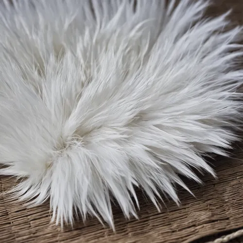 White fluff on an old mat,ostrich feather,white fur hat,white feather,foxtail,swan feather,fur,hawk feather,goat beard,chicken feather,cowhide,white hairy,fur clothing,feather bristle grass,fluffy tai