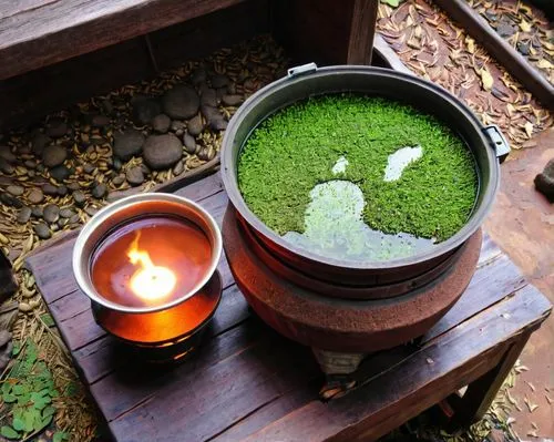 gyokuro,tea zen,tea ceremony,japanese tea,sayama tea,houkui tea,maojian tea,matcha powder,tea art,hojicha,sake kasu,moc chau tea doi,pu-erh tea,tea light holder,matcha,tea candle,wheatgrass,vietnamese lotus tea,ryokan,sencha,Conceptual Art,Daily,Daily 08