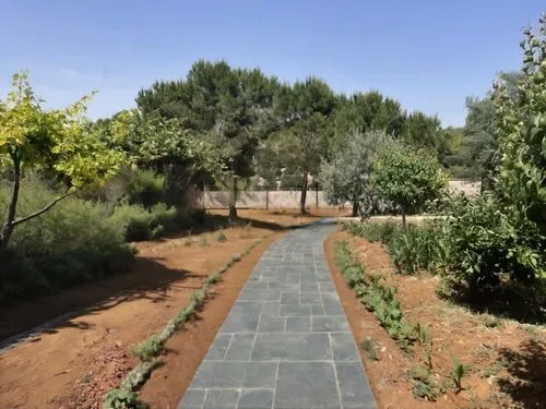 kibbutzim,olive grove,towards the garden,pathway,kibbutz,etzion,olive field,moshav,the old botanical garden,nature garden,kitchen garden,birzeit,entry path,latrun,givati,technion,giardino,golani,the garden,callimachi