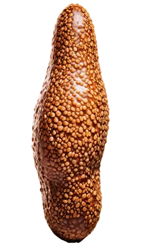 acorn,egg,brown egg,chocolate-coated peanut,pepper shaker,malagueta pepper,pepper mill,soy egg,chia,soy nut,roasted chestnut,bitter gourd,avo,tapaboca,yam,peppercorn,avacado,salak,chocolate-covered coffee bean,tabasco pepper,Illustration,American Style,American Style 04