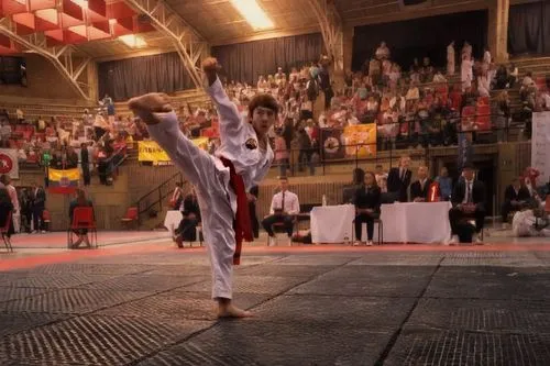 capoeirista,gymnastique,sladek,judogi,competir,judoka