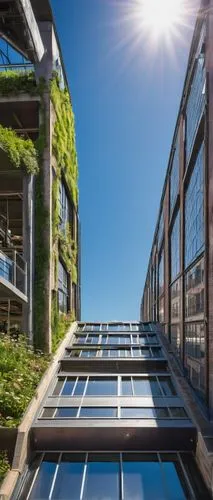 rigshospitalet,electrochromic,photovoltaics,greenhouse effect,glass facade,greentech,rikshospitalet,esade,plattenbau,microhabitats,glass facades,roof garden,block balcony,glass building,lofts,photovoltaic,biotechnology research institute,photovoltaic cells,greenhouses,glasshouses,Photography,Fashion Photography,Fashion Photography 18