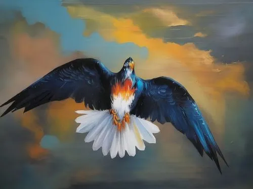 bird painting,orange gull,fish eagle,eagle illustration,sea head eagle,bird in the sky,eagle,eagle vector,sea eagle,oil painting,pacific gull,bird flying,eagle drawing,bird of paradise,african fish eagle,lazio,bird in flight,sea swallow,crested terns,flying hawk,Illustration,Paper based,Paper Based 04