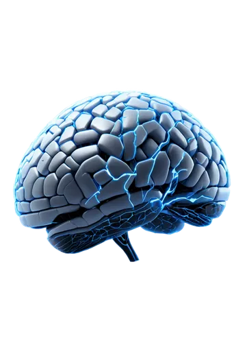 brain icon,brainlab,neuroprotection,neurorehabilitation,neurodegenerative,neocortex,braincase,neurobiological,neuroscientific,neurotechnology,thalamocortical,neuroinformatics,encephalopathies,neurocranium,amygdala,neuroactive,enterbrain,neurophysiological,neuroplasticity,neurocognitive,Photography,General,Sci-Fi