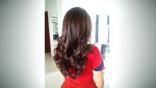 oriental longhair,asian semi-longhair,british semi-longhair,british longhair,long hair,back of head,hair,girl from the back,layered hair,smooth hair,ao dai,red-brown,hairstyler,back view,girl in a lon