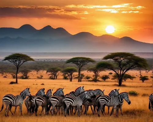 In the heart of the African savanna, a majestic mountain range captivates the sky. In this stunning and breathtaking photograph: In the heart of the African savanna, a majestic herd of zebras, antelop