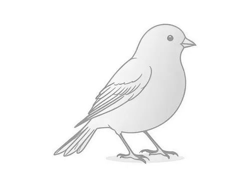 a white bird sits on the ground on top of snow,bird png,white grey pigeon,luginbill,white pigeon,dove of peace,bird illustration,Design Sketch,Design Sketch,Rough Outline