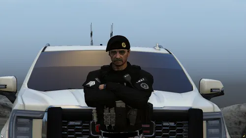 patrolman,suheil,police cruiser,truckdriver,traffic cop,policier,trucker,police officer,civilian service,patroling,volksgrenadier,cybertruck,policia,patrolling,gendarme,hyneman,civilian,gangstar,officer,policeman