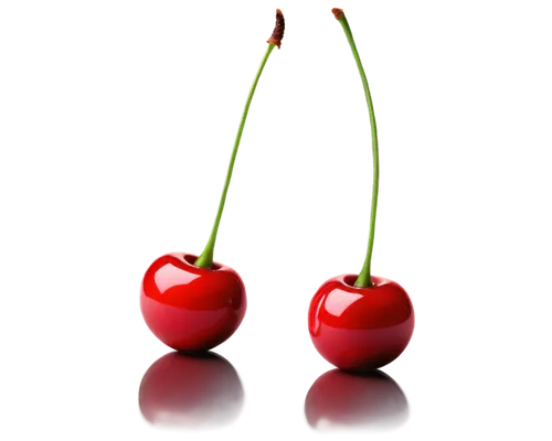 Cherry fruit, ripe, juicy, red skin, green stem, glossy surface, round shape, solo, still life, close-up, 3/4 composition, soft natural light, warm color tone, shallow depth of field, realistic textur