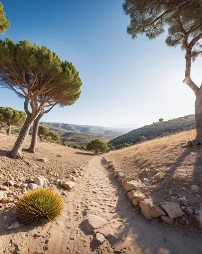 arid landscape,segesta,laodicea,virtual landscape,argan trees,judaean desert,desert desert landscape,desert landscape,photogrammetry,lycian way,provencal,garrigue,socotra,quartz sandstone peak woodland landscape,amphipolis,360 ° panorama,cryengine,mycenae,unpaved,stone desert,Photography,General,Realistic