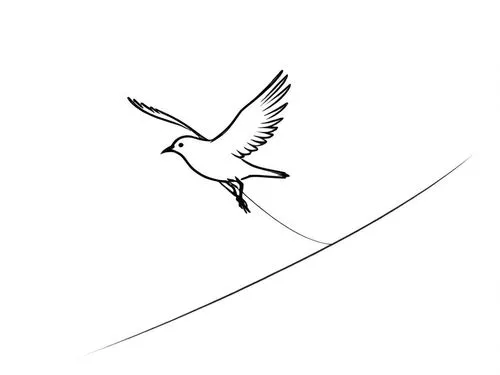 black and white drawing of a bird in flight with a line connecting the wings,forktail,bird outline,flying tern,quickbird,tern flying,dove of peace,Design Sketch,Design Sketch,Rough Outline