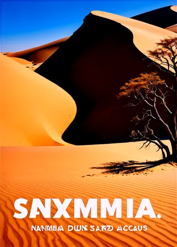 namaqua,namaqualand,namib desert,savanna,namib,namibia,savane,savannas,namib rand,sanhueza,anoxia,namibia nad,supermax,spinifex,samba deluxe,soulama,setswana,maximums,acclimatize,laminaria,Illustration,Vector,Vector 21