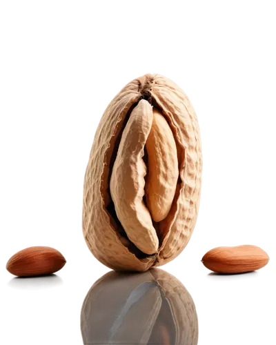 almond nuts,indian almond,unshelled almonds,brazil nut,almond,walnuts,tree nut,pine nuts,almonds,pine nut,pecan,almond meal,cocoa beans,walnut,argan tree,mixed nuts,almond oil,acorn,beaked hazelnut,salted almonds,Photography,Documentary Photography,Documentary Photography 28