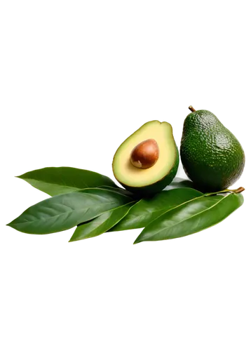 palta,avacado,avocado,avocados,avos,avo,sliced avocado,avocation,guacamole,hass avocados,lemon background,aaaa,avocado salad,avocational,aaa,avocat,feijoa,aguacate,avoirdupois,citrifolia,Photography,Artistic Photography,Artistic Photography 14