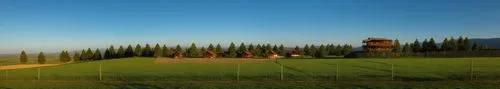 a green field with trees and houses on it,toscana,tuscany,toscane,cypresses,tuscan,olive grove,Photography,General,Realistic